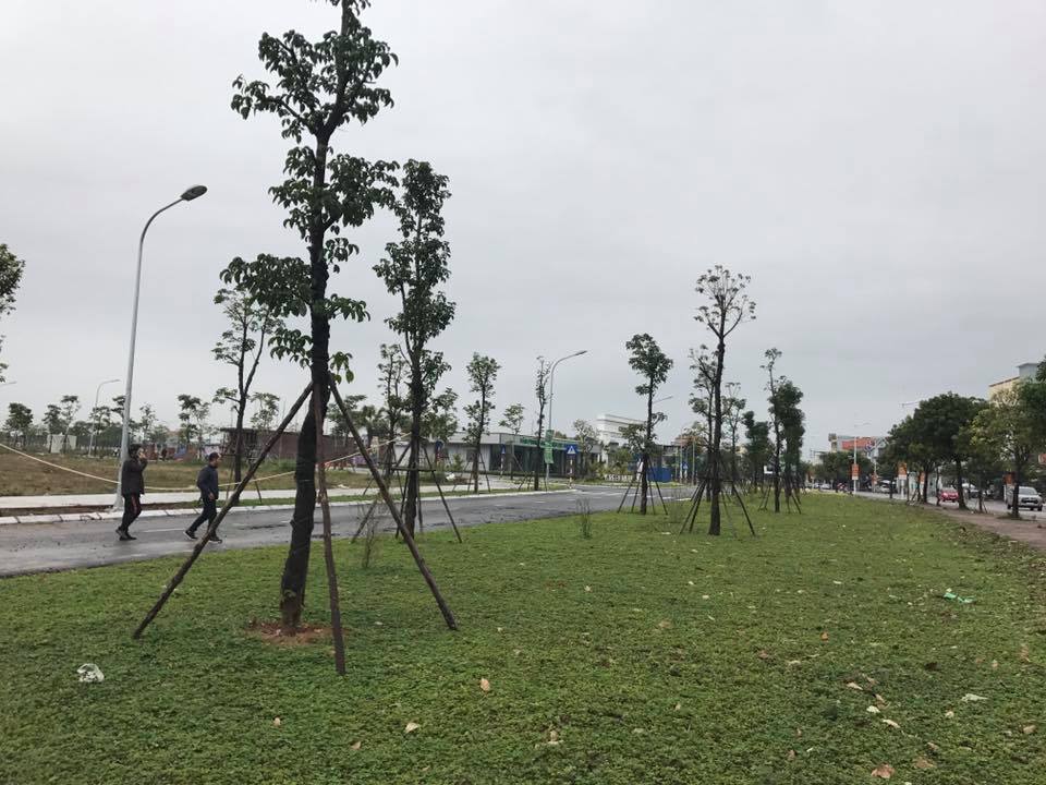 90% số lô đất tại dự án đã có chủ sở hữu