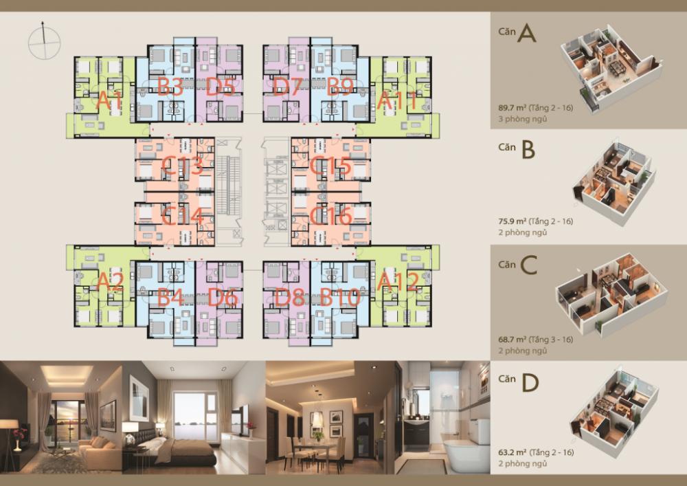 Tầng điển hình