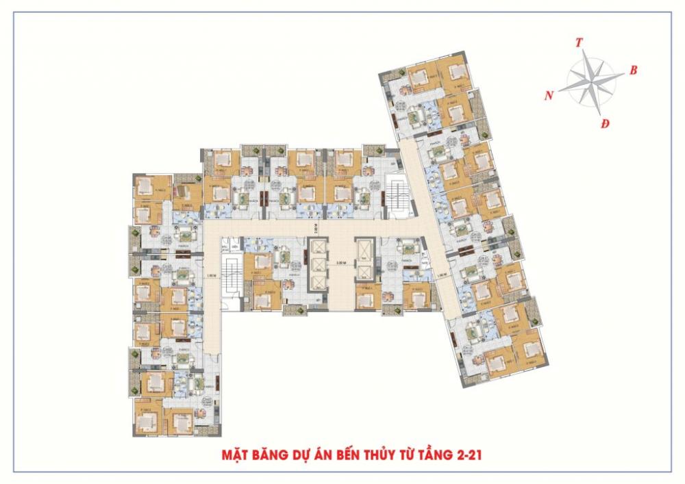 Tầng điển hình