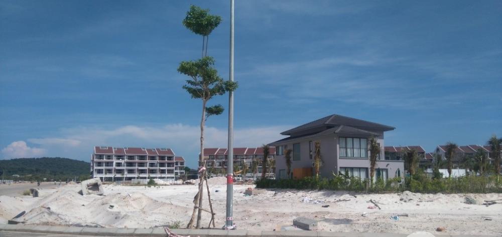 Nhiều hạng mục đang mọc lên bên trong dự án