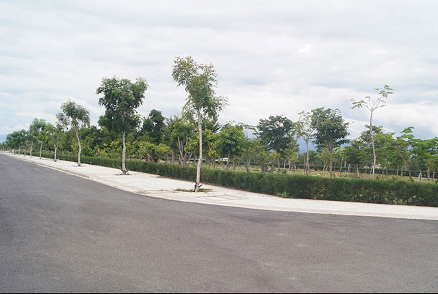 Công viên cây xanh Khu D6