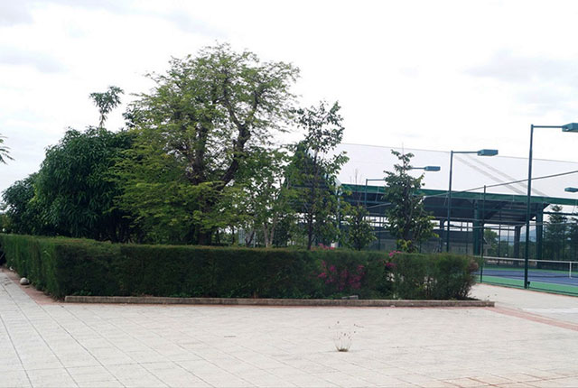 Công viên cây xanh