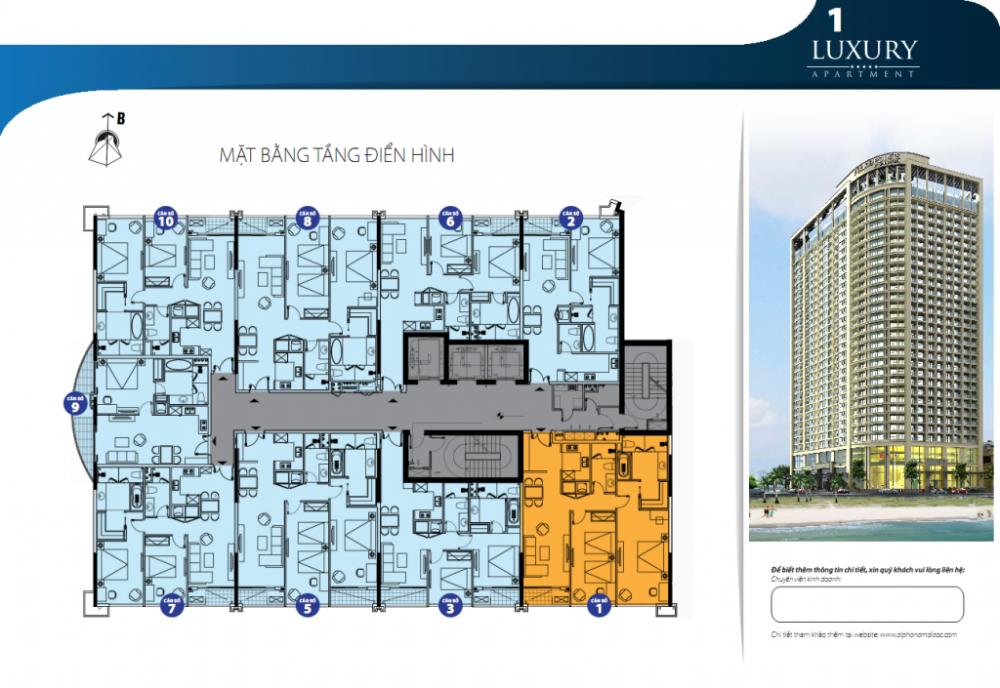 Tầng điển hình