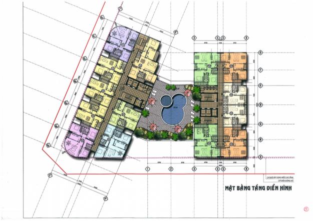 Tầng điển hình