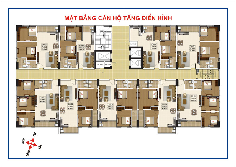 Tầng điển hình