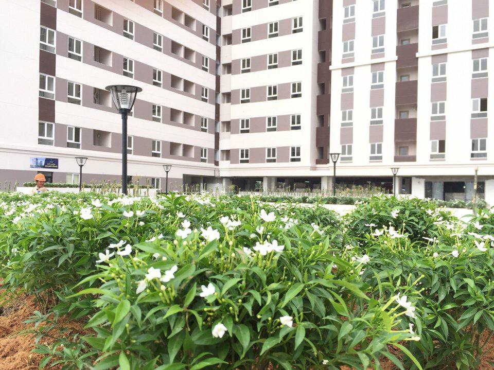 Dự án đã hoàn thiện