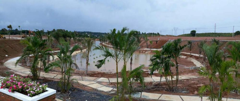 Đường đi bộ ven hồ & cảnh quan