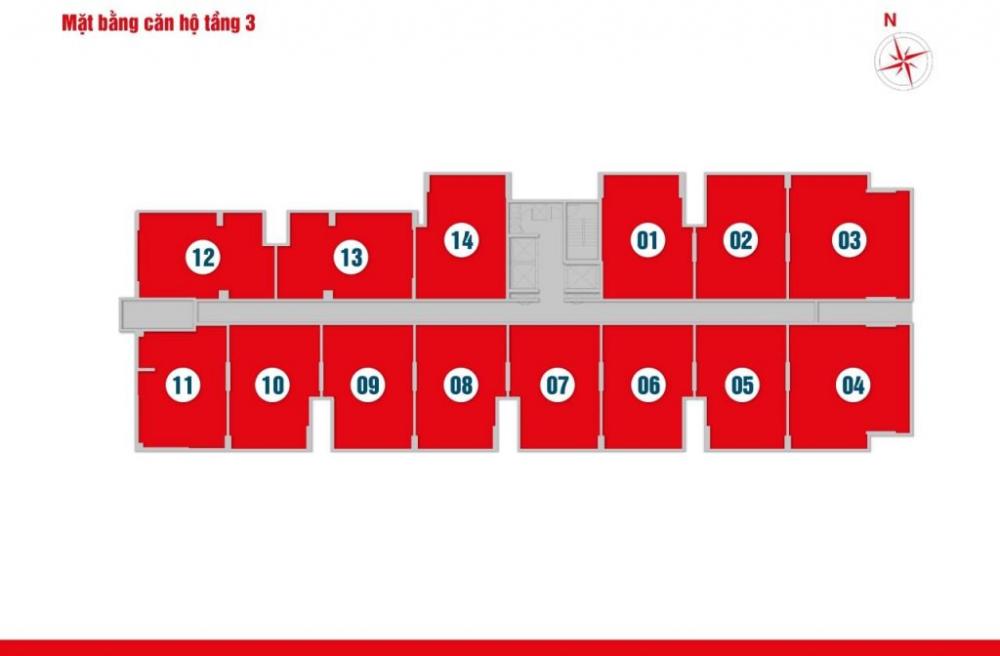 Tầng điển hình