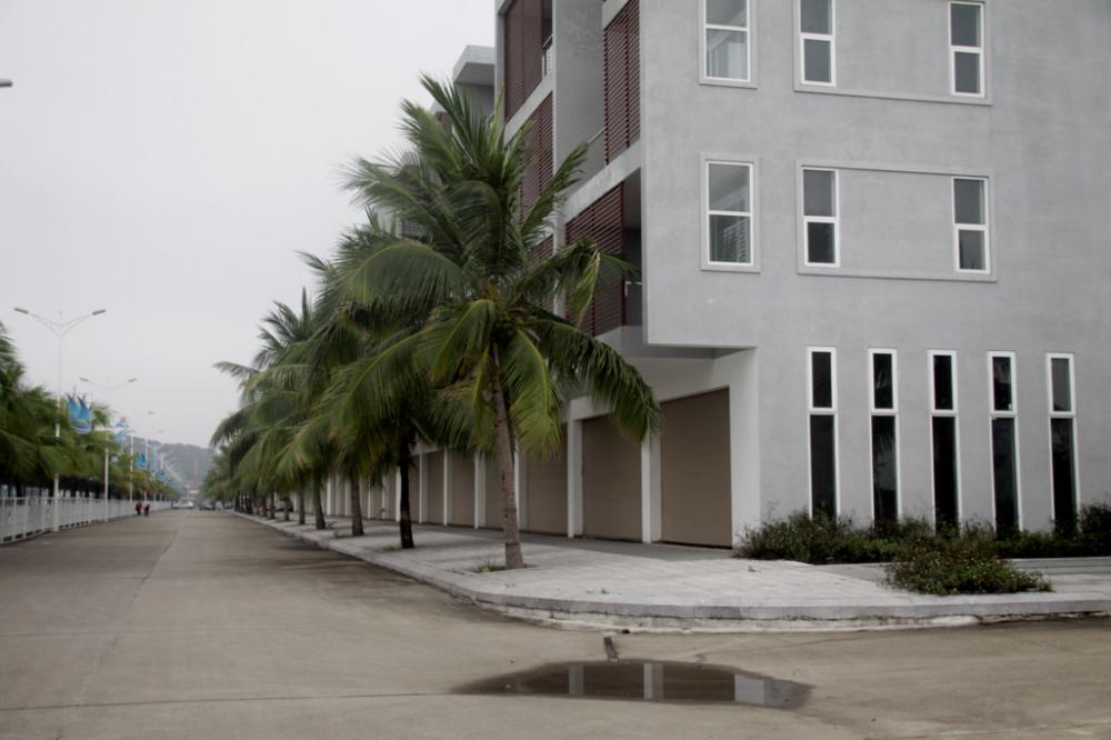 Hình ảnh thực tế dự án