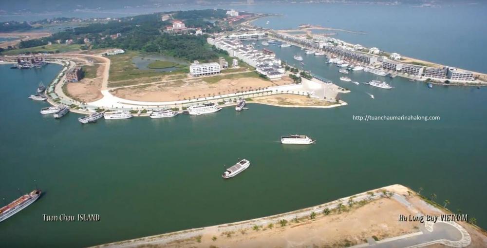 Cơ sở hạ tầng tại dự án đang hoàn thiện