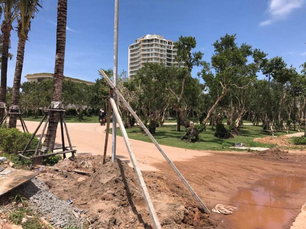 Dự án đang thi công hạ tầng và phần thô