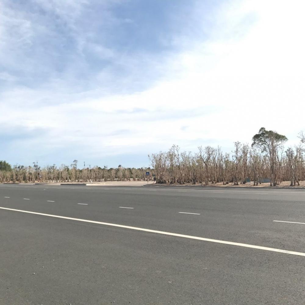 Dự án đang thi công hạ tầng và phần thô