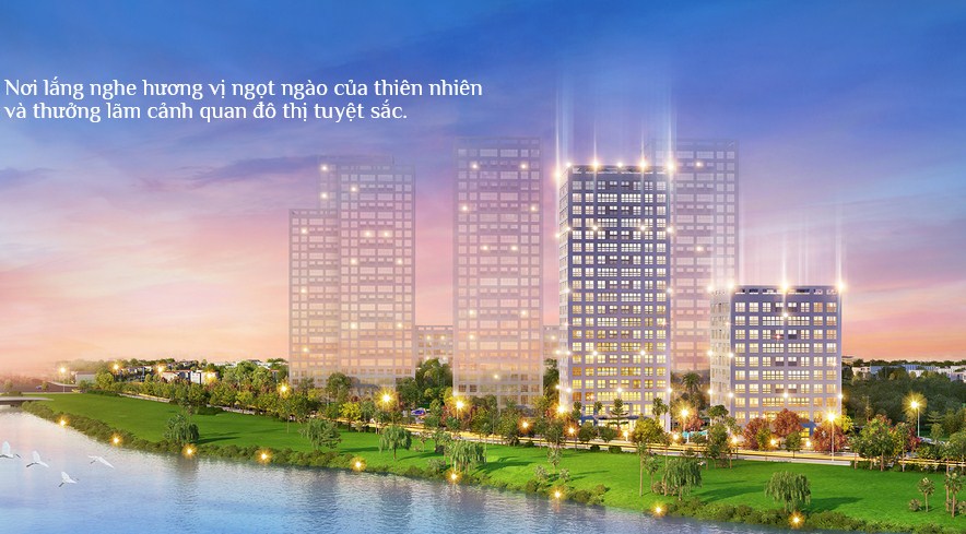 Happy Valley Premier