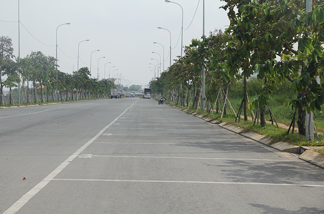 Dự án đã hoàn thiện 100% cơ sở hạ tầng