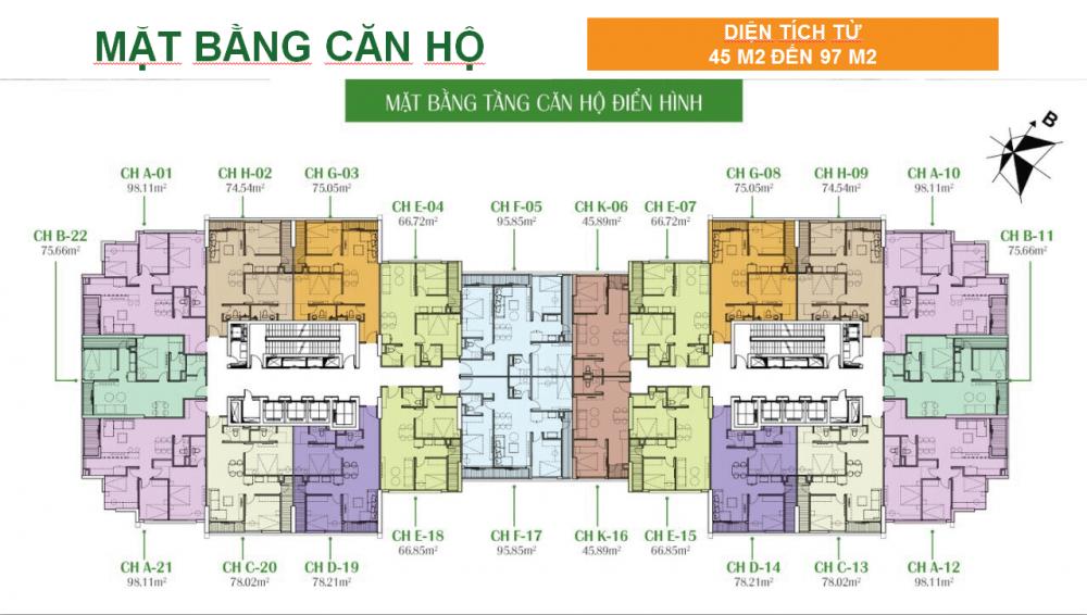 Tầng điển hình