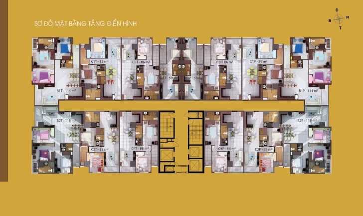 Tầng điển hình