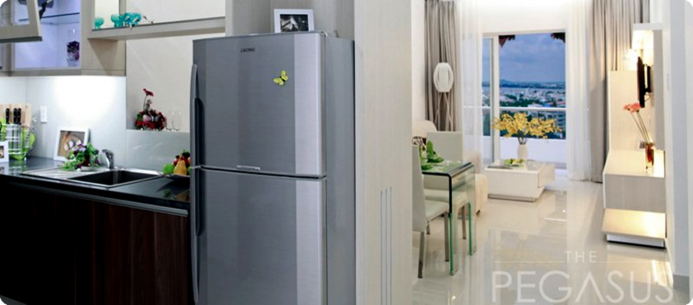 Căn hộ The Pegasus Plaza 4