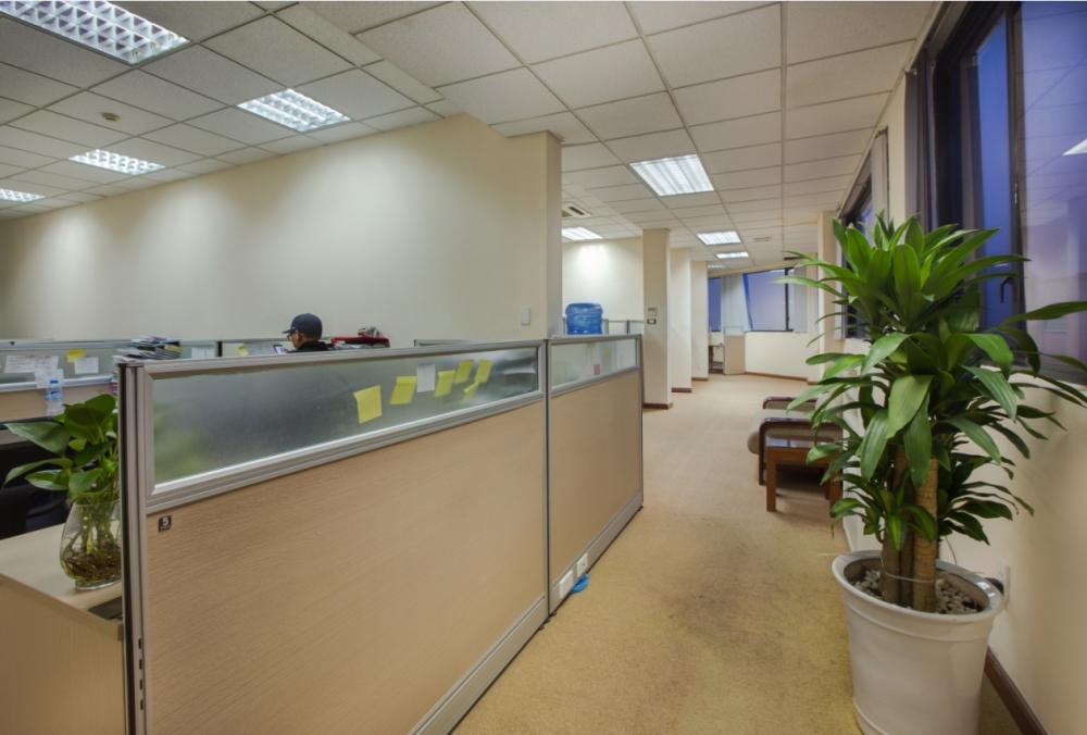 Văn phòng Ford Thăng Long 4