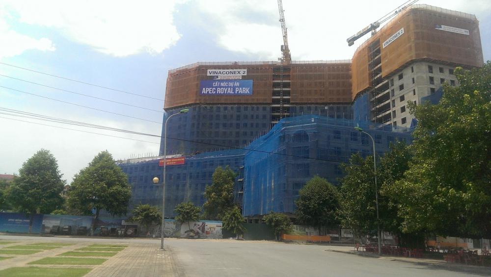 Dự án đang thi công phần thô