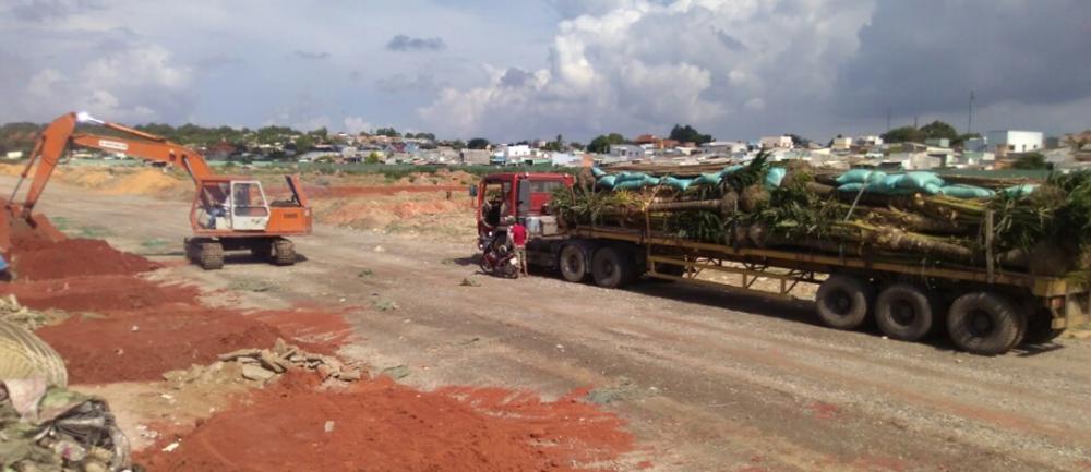 Dự án đang thi công hạ tầng