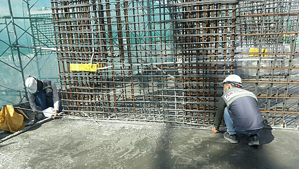 Dự án đang thi công tới tầng 29