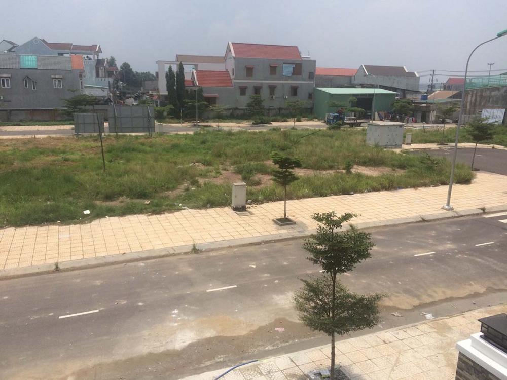 Hình ảnh thực tế dự án