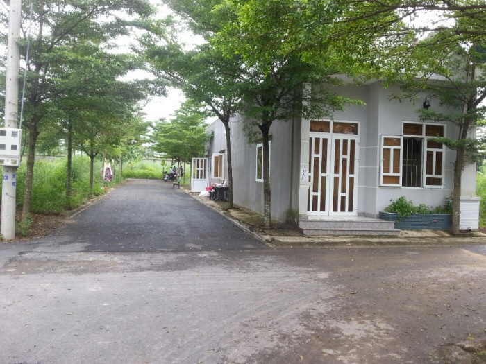 Hình ảnh thực tế dự án