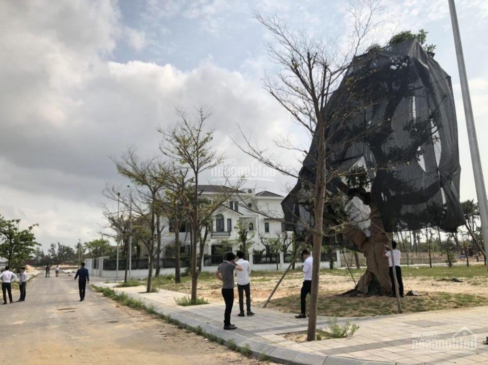 Hình ảnh thực tế dự án