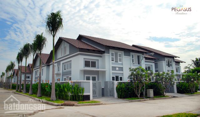 The Pegasus Residence