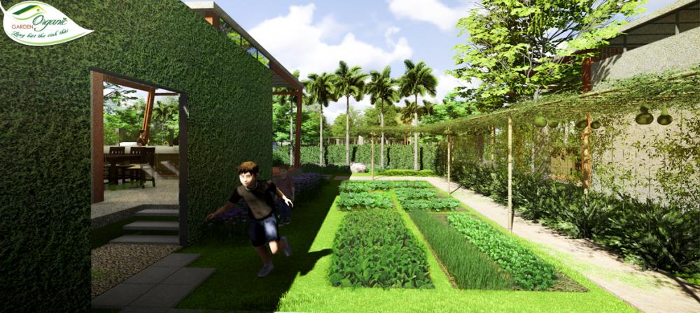 Biệt thự loại II 4