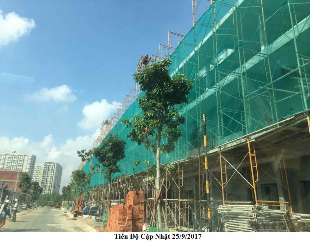 Hình ảnh thực tế dự án