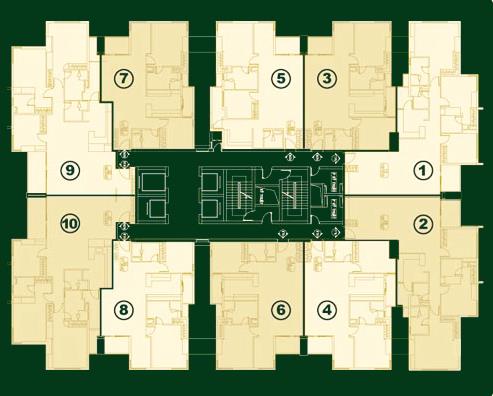 Tầng điển hình