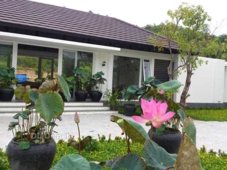 Dự án đã hoàn thiện và đưa vào sử dụng