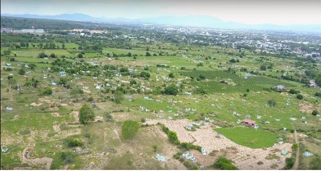 Hình ảnh thực tế dự án