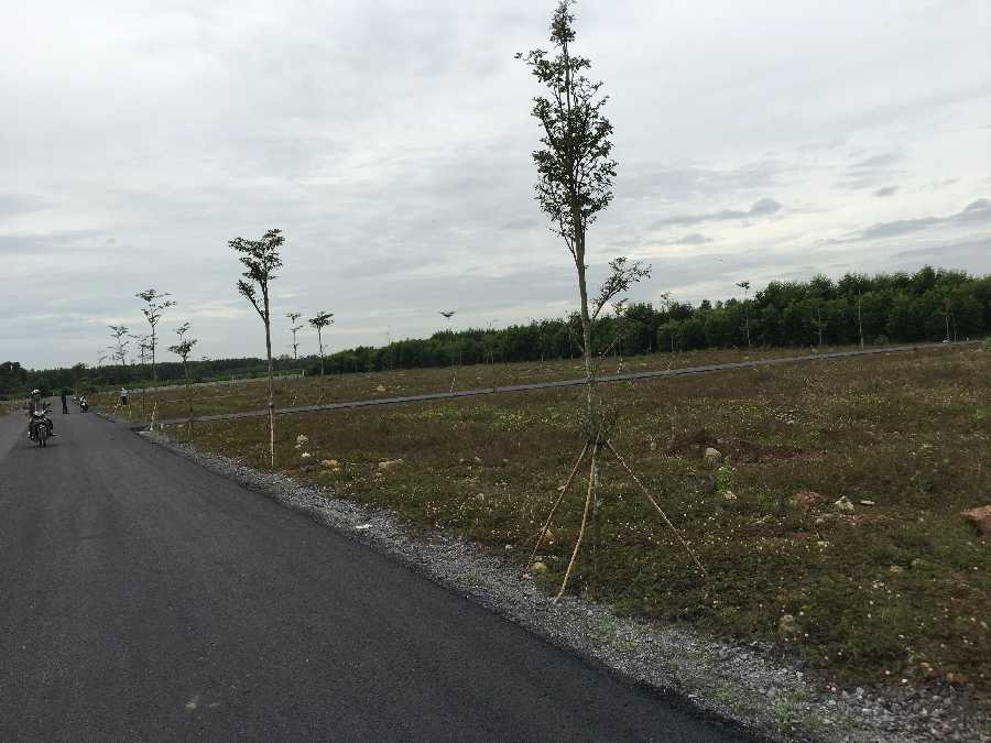 Dự án đã hoàn thiện hạ tầng