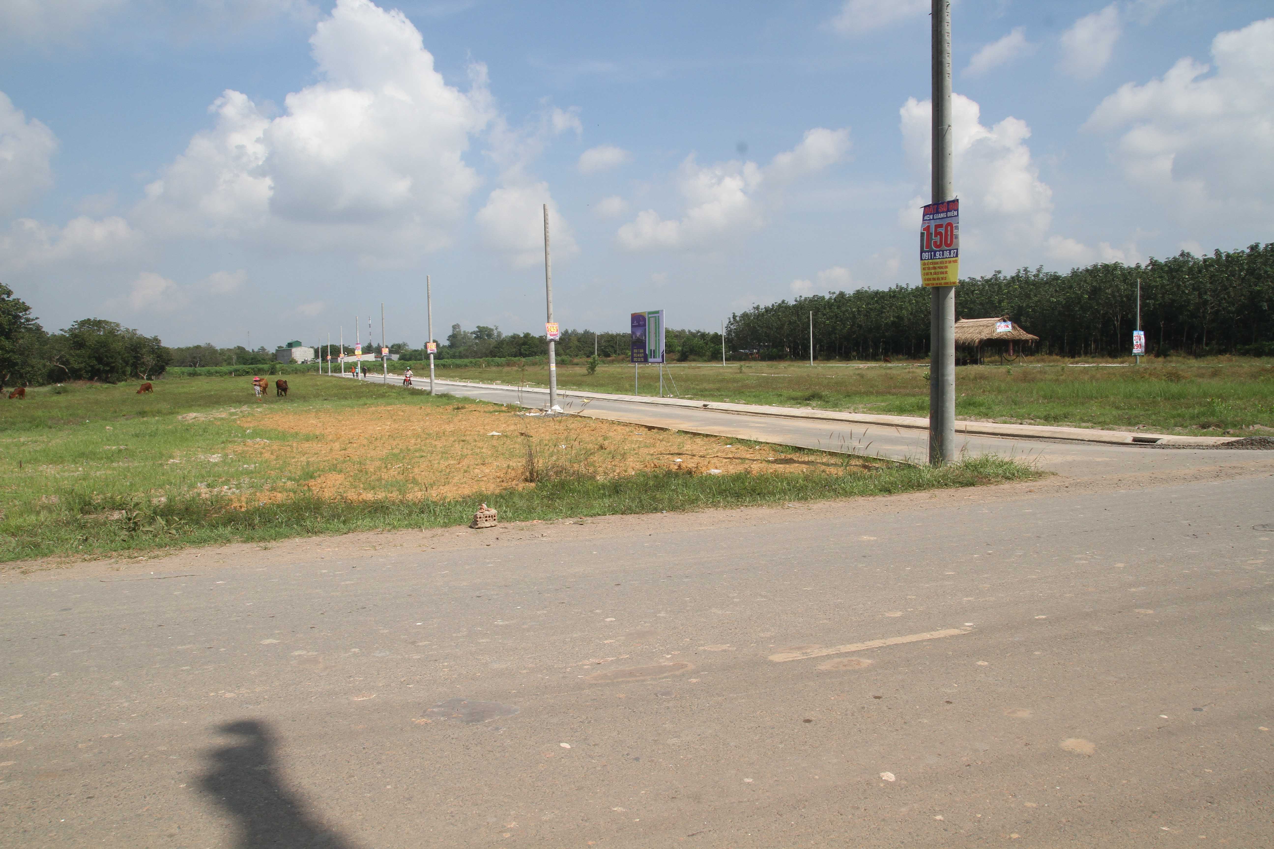 Dự án đã hoàn thiện hạ tầng