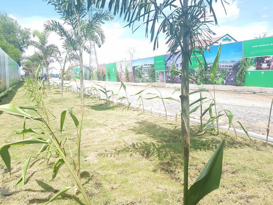 Dự án đang thi công hạ tầng