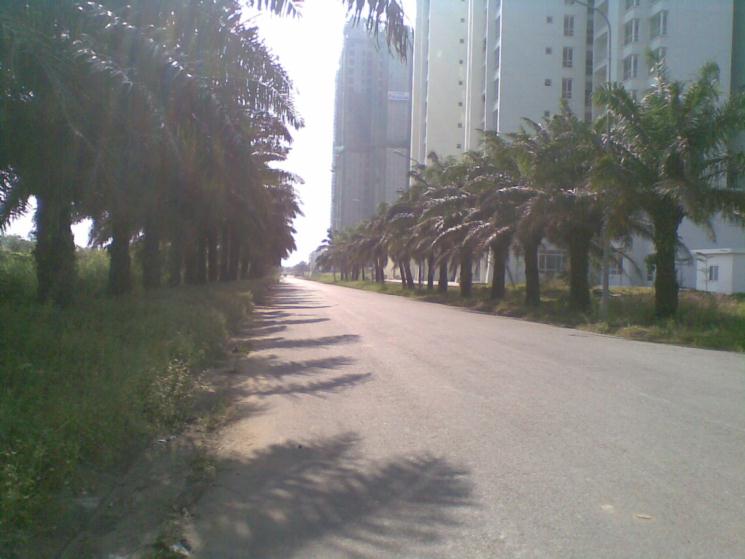 Dự án đã hoàn thiện và đưa sử dụng