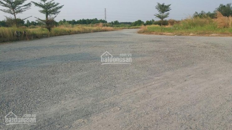 Hình ảnh thực tế dự án