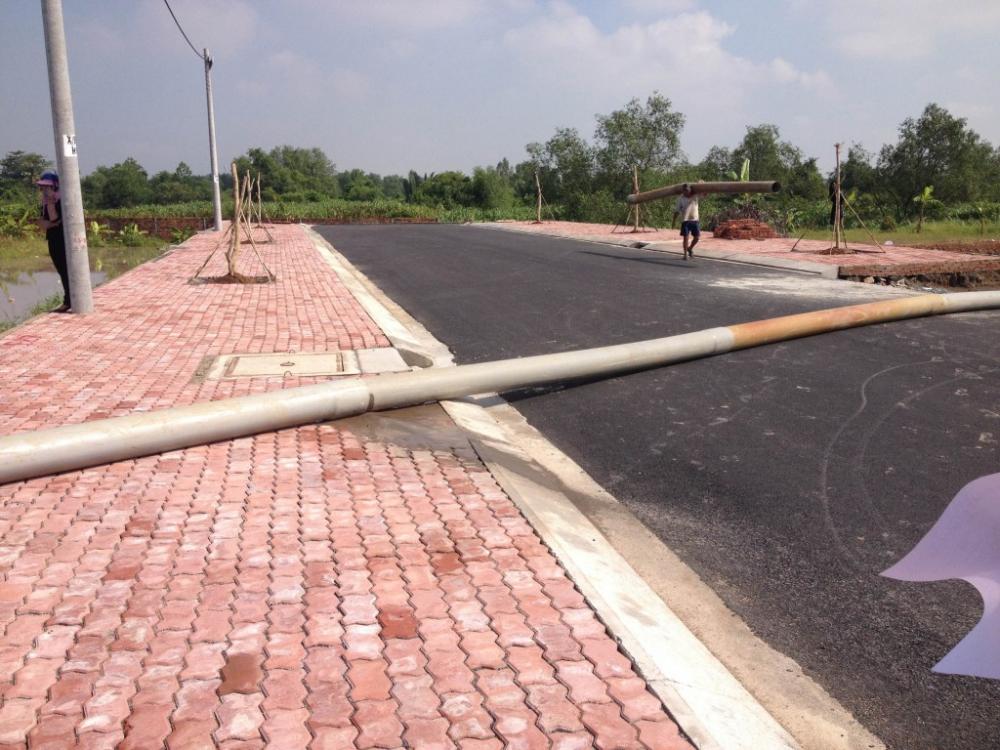 Hình ảnh thực tế dự án