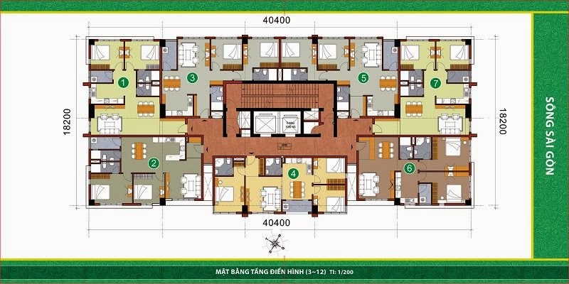 Tầng điển hình