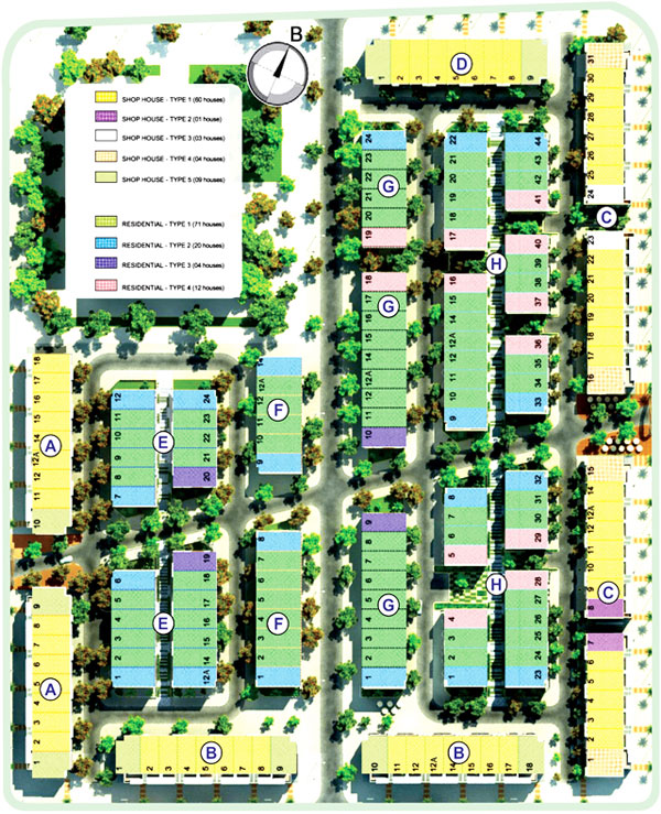 Tầng điển hình