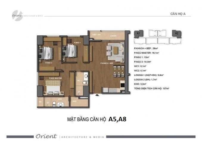 Thiết kế căn hộ A5, A8