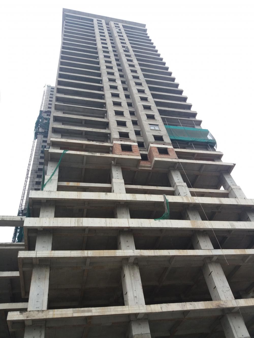 Dự án đang trong quá trình hoàn thiện