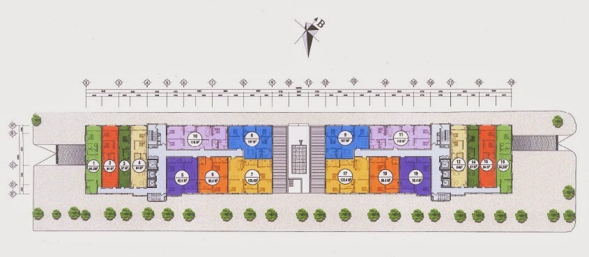 Tầng điển hình