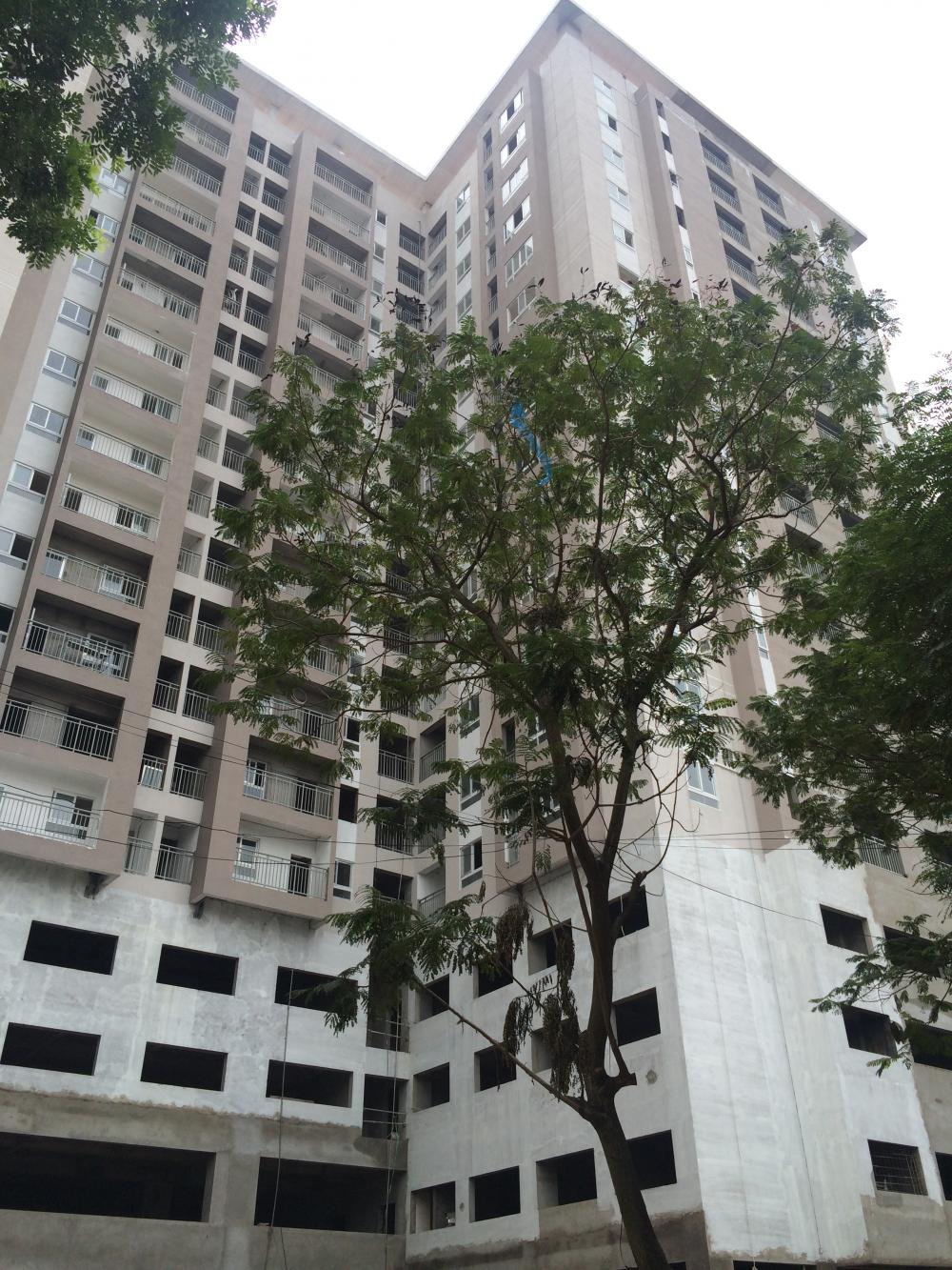 Dự án đang hoàn thiện nốt các hạng mục cuối cùng để đưa vào khai thác