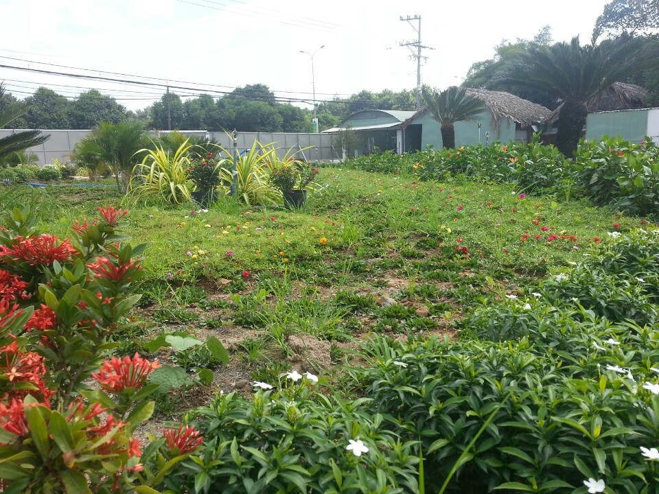 Dự án được bàn giao nền với cơ sở hạ tầng hoàn thiện vào quý 1. 2016 và hiện đang được mở bán.