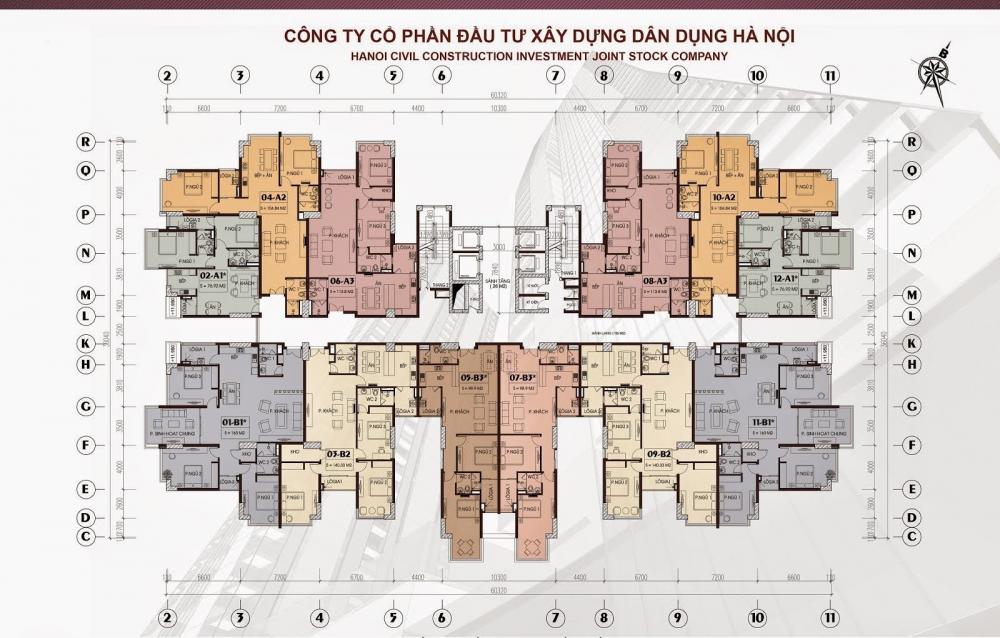 Tầng điển hình