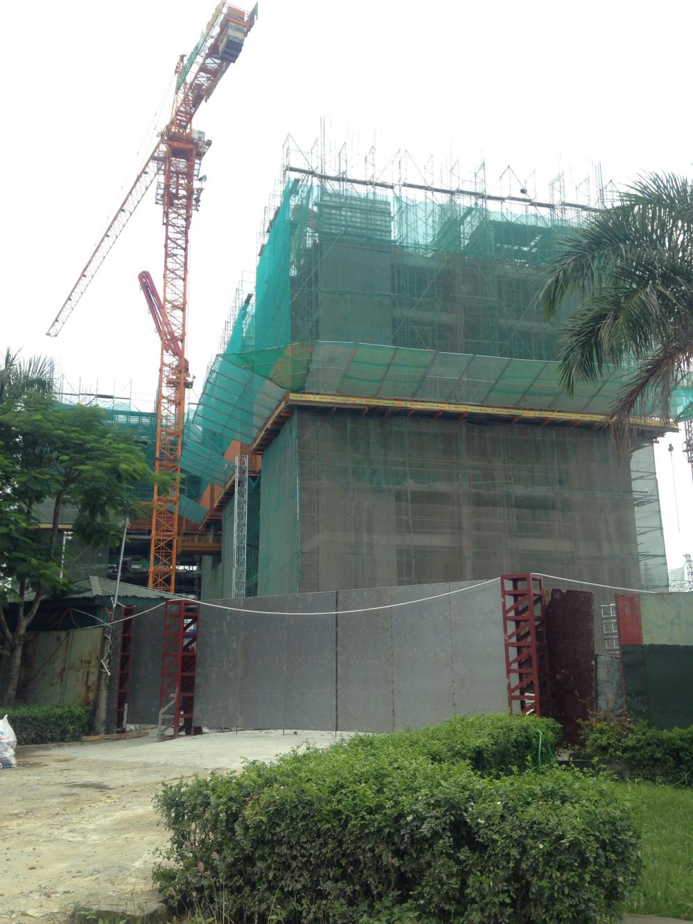 Dự án đang thi công mặt sàn tầng 8