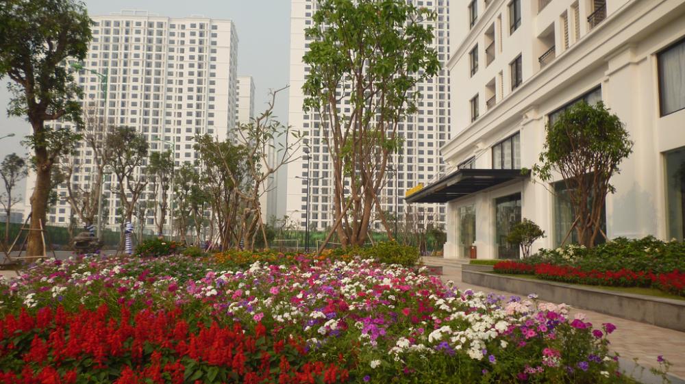 Dự án đã hoàn thành và đưa vào sử dụng